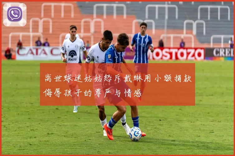 离世球迷姑姑怒斥戴琳用小额捐款侮辱孩子的尊严与情感