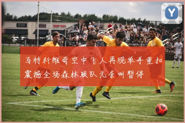 马特科维奇空中飞人再现单手重扣震撼全场森林狼队无奈叫暂停