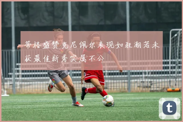 蒂格盛赞克尼佩尔表现如狂潮若未获最佳新秀实属不公