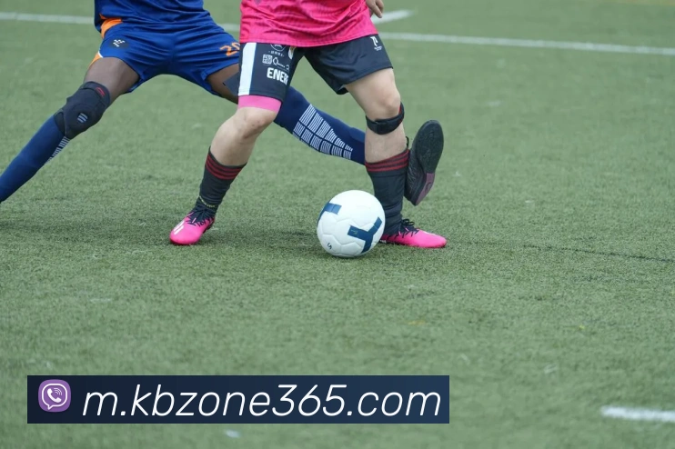 KB官网入口服务体系